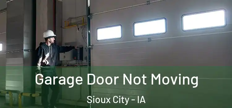  Garage Door Not Moving Sioux City - IA